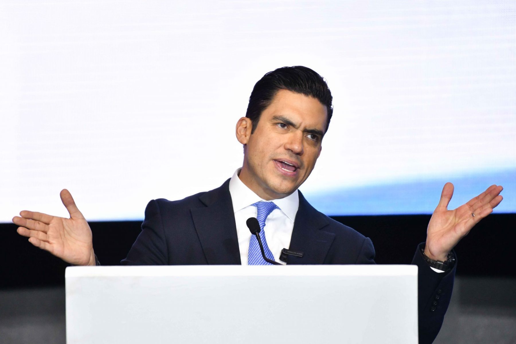 1058827 Asamblea Nacional PAN web