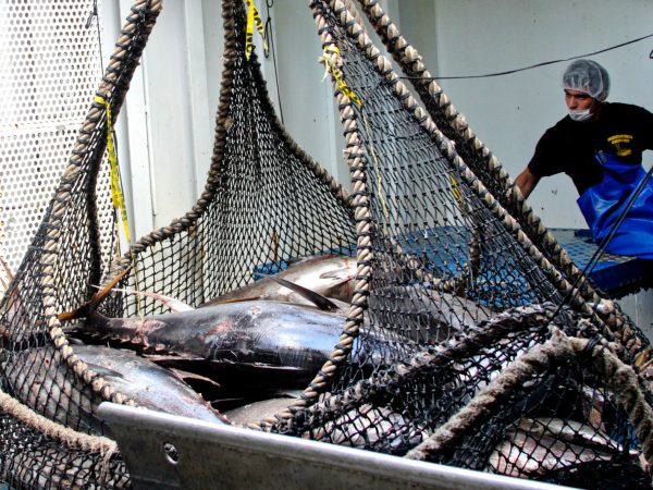 251100 AGRICULTURA CONAPESCA VEDAS NOVIEMBRE 3