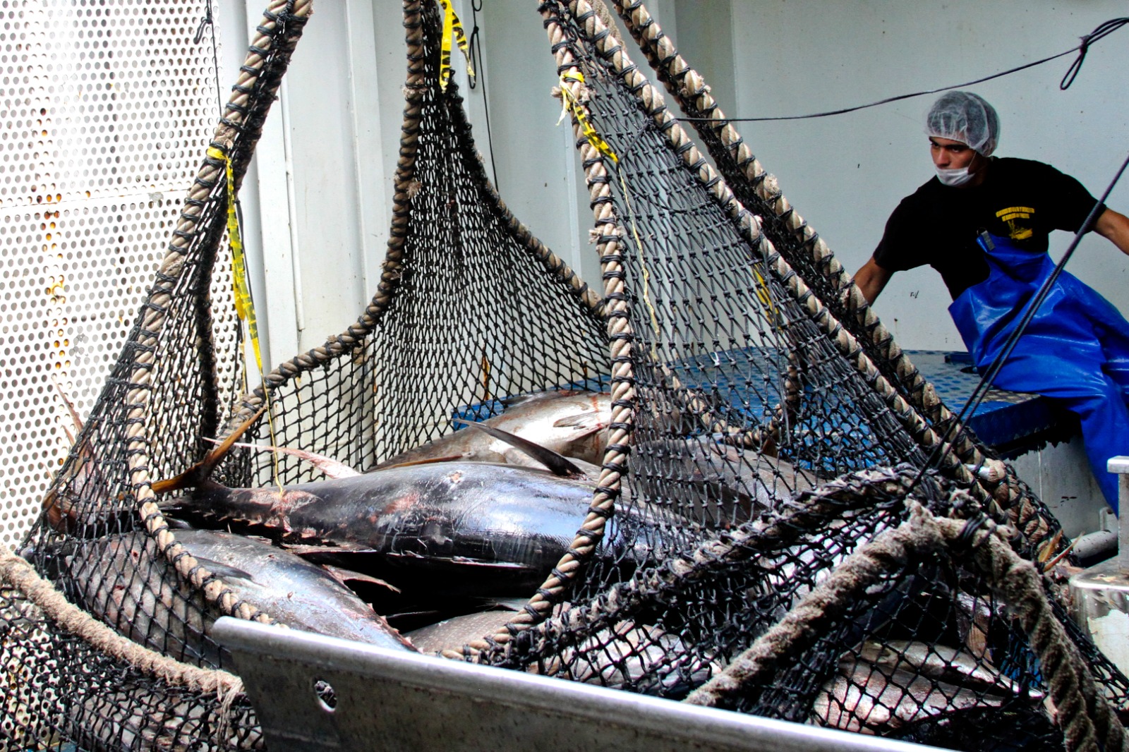 251100 AGRICULTURA CONAPESCA VEDAS NOVIEMBRE 3