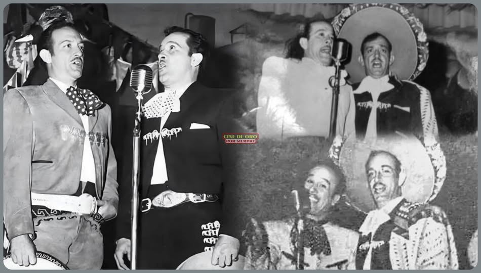 494175750 655199410651626 4293795727506387471 n