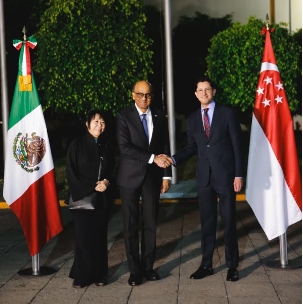 Tharman Shanmugaratnam, Singapur2