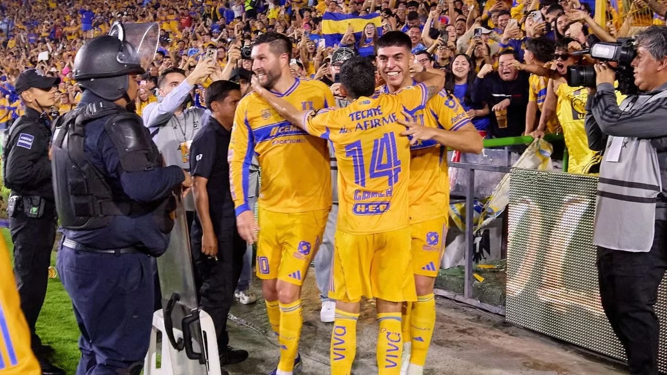 Tigres Xolos1