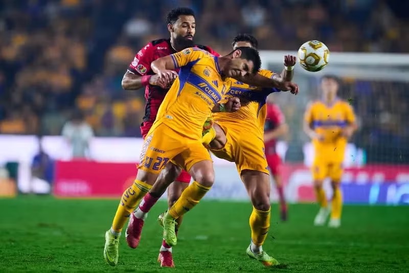 Tigres Xolos2
