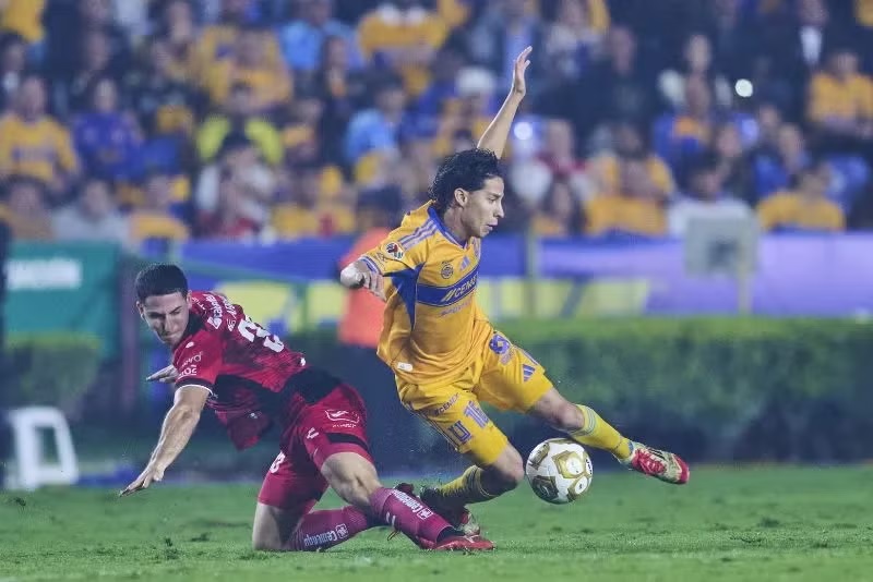 Tigres Xolos3