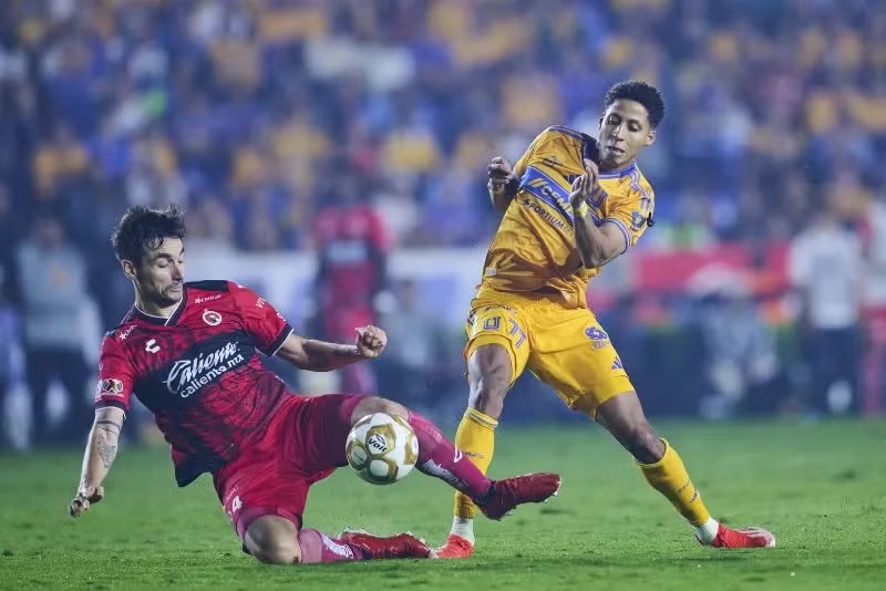 Tigres Xolos4