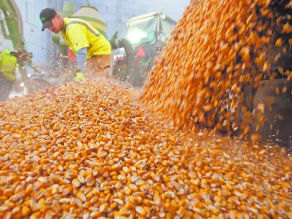 Upload 6920ab1a50d8c 21112025