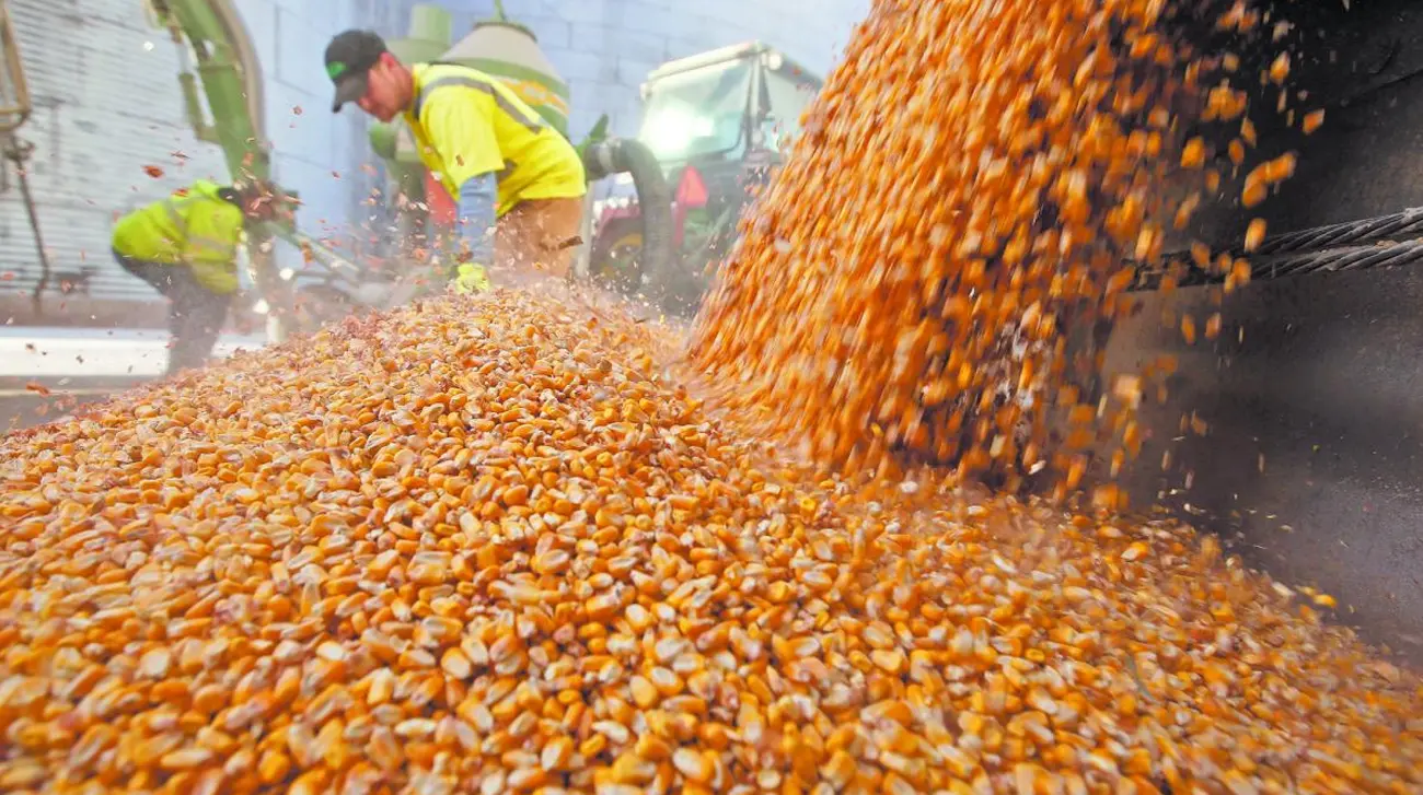 Upload 6920ab1a50d8c 21112025