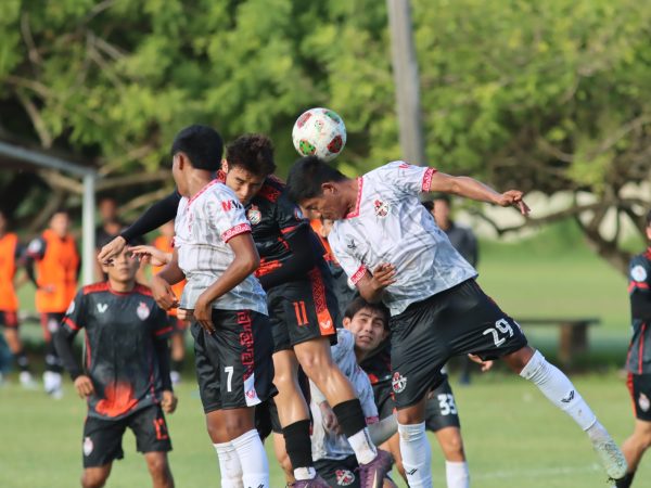 WhatsApp Image 2025 11 30 at 2.26.23 PM (1)