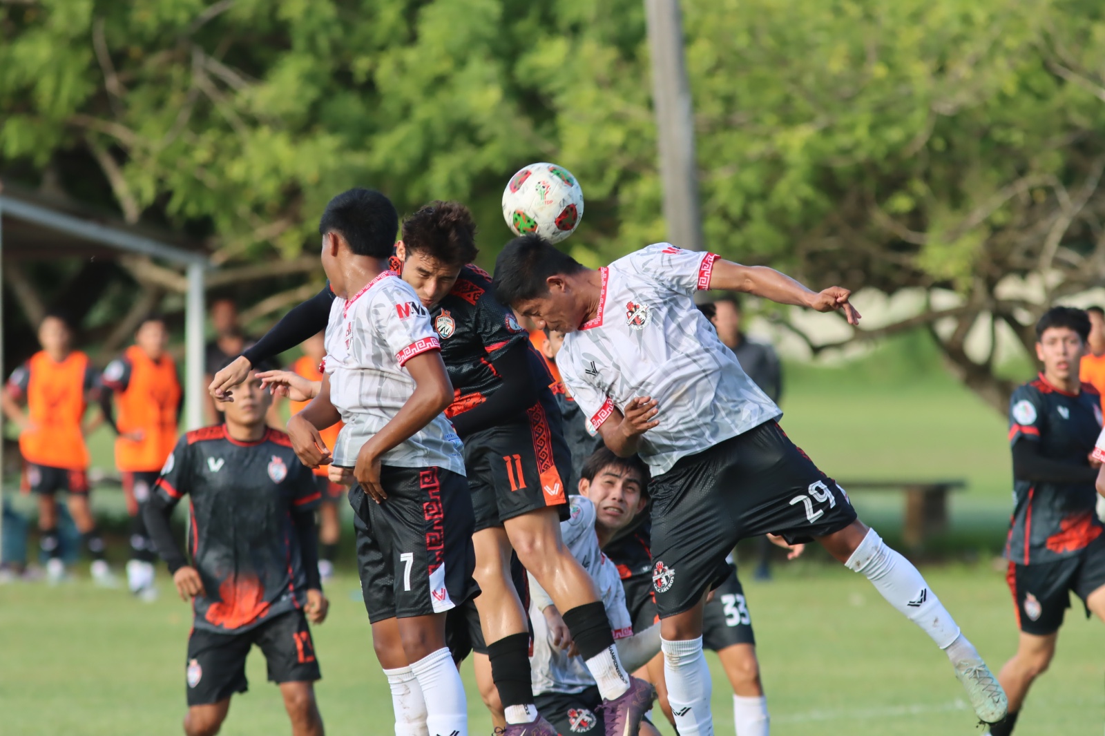 WhatsApp Image 2025 11 30 at 2.26.23 PM (1)