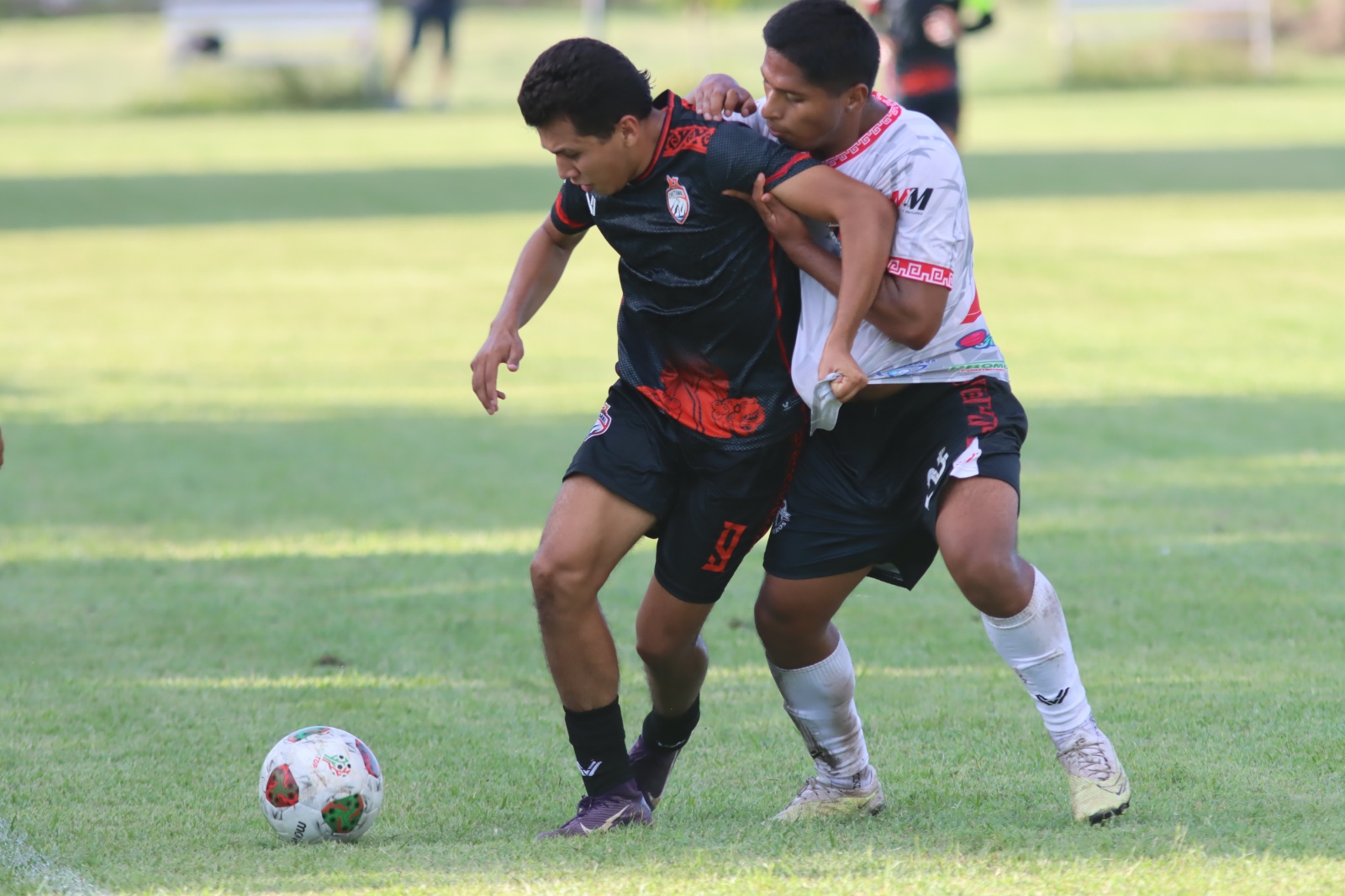 WhatsApp Image 2025 11 30 at 2.26.23 PM (3)