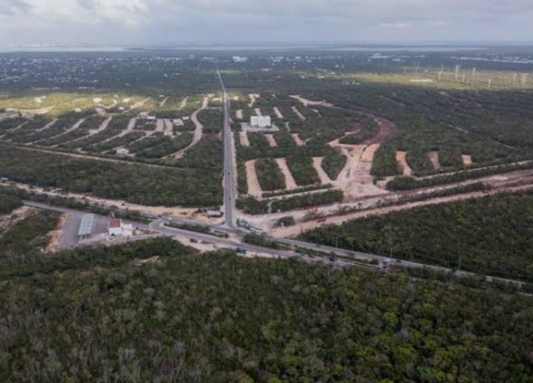 WhatsApp Image 2025 11 30 at 3.57.28 PM (2)