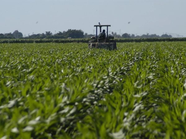 image 2025 11 30T145950.646