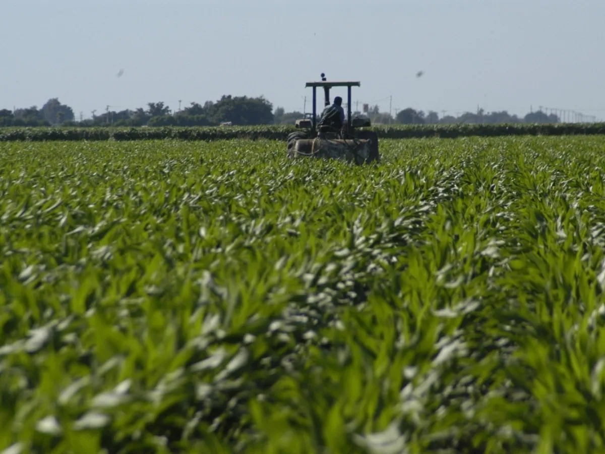 image 2025 11 30T145950.646