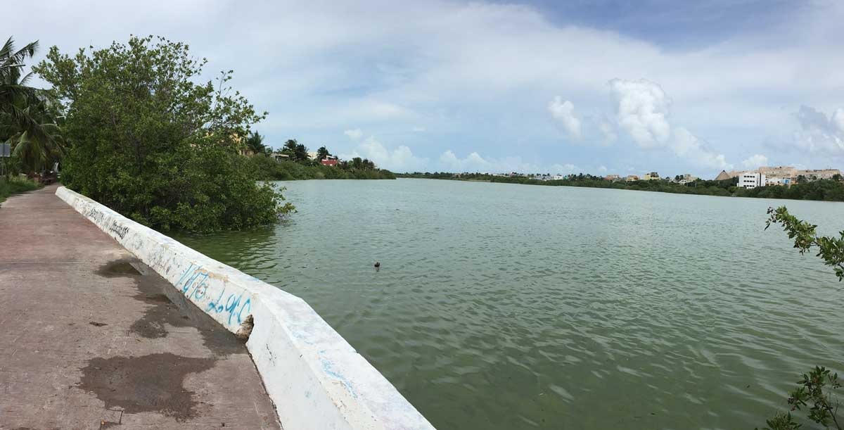 la salina2 la salina2