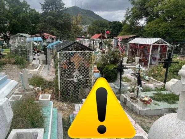 mujer devorada por perros en la GAM