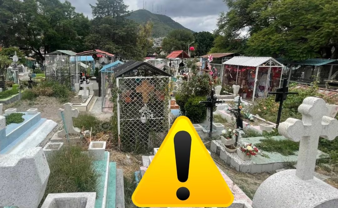 mujer devorada por perros en la GAM