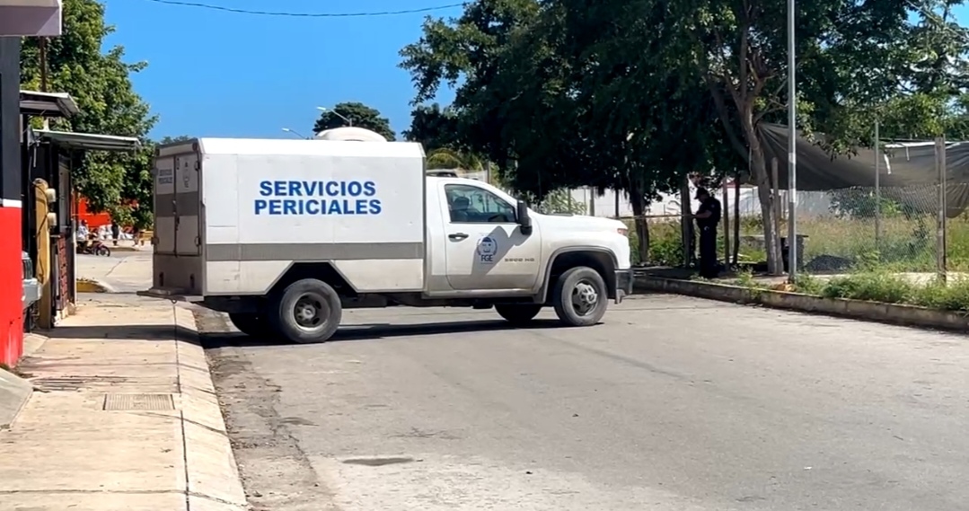 1000540012 1000540012