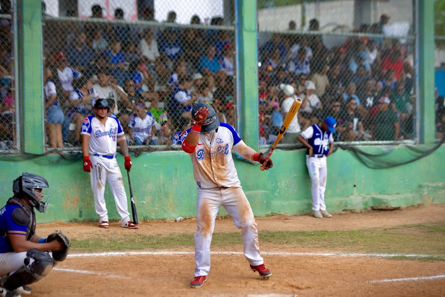 FB IMG 1764612893654