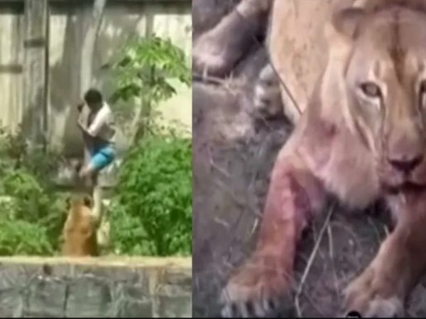 image 2025 12 01T085537.552