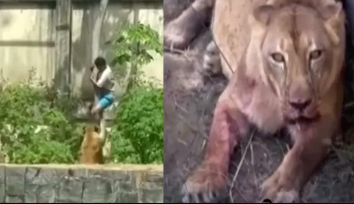 image 2025 12 01T085537.552