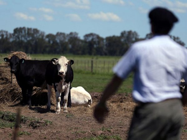 image 2025 12 01T101515.948