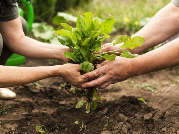 image 2025 12 01T114059.307