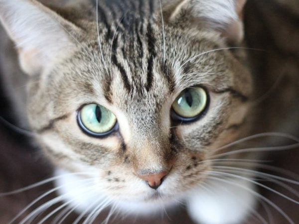 image 2025 12 01T120349.770