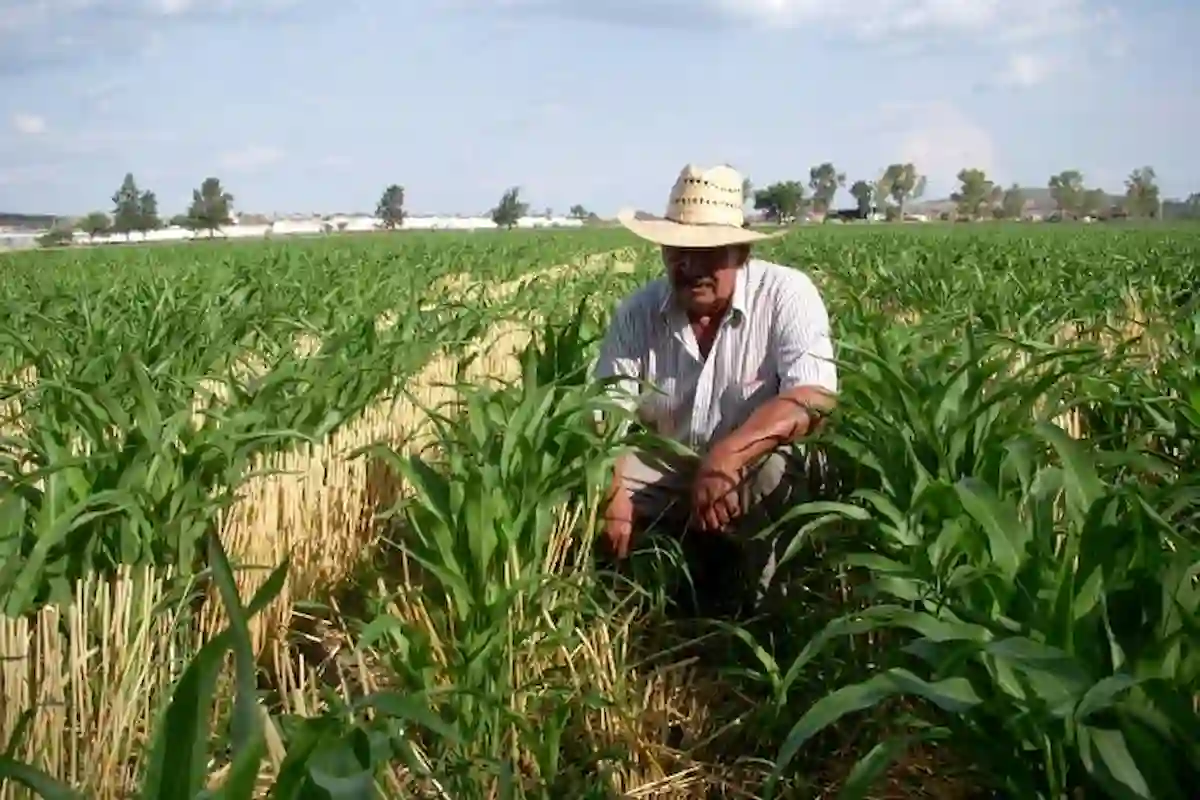 Agricultura Mundial Enfrenta Seis Grandes Retos durante 2026
